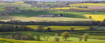 This landscape photograph captures Sutton Scarsdale Farm bathed in the spring sun during the early afternoon, with patches of shadow cast across the fields and trees. The rolling countryside of Sutton Scarsdale is vibrant with agricultural activity, including fields of rapeseed in bloom, which create striking yellow bands amongst the green and brown farmland. The scene is characterized by scattered trees and hedgerows that divide the agricultural land, offering a picturesque view of rural springtime. The buildings and silos of Sutton Scarsdale Farm serve as the main focal point, nestled amidst the patchwork of crops and bordered by lanes and lines of trees, highlighting the serene beauty and productivity of the English countryside in spring.